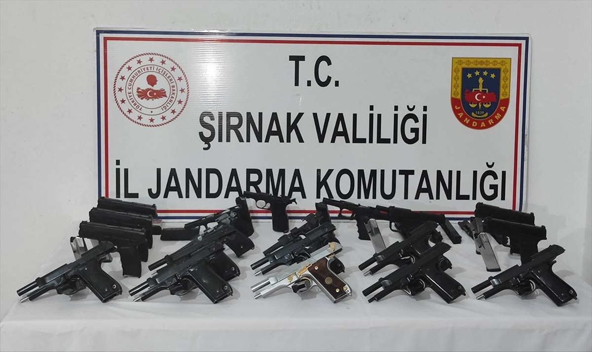 Şırnak'ın Silopi ve Cizre ilçelerinde 3 tırda 19 tabanca ve uyuşturucu ele geçirildi