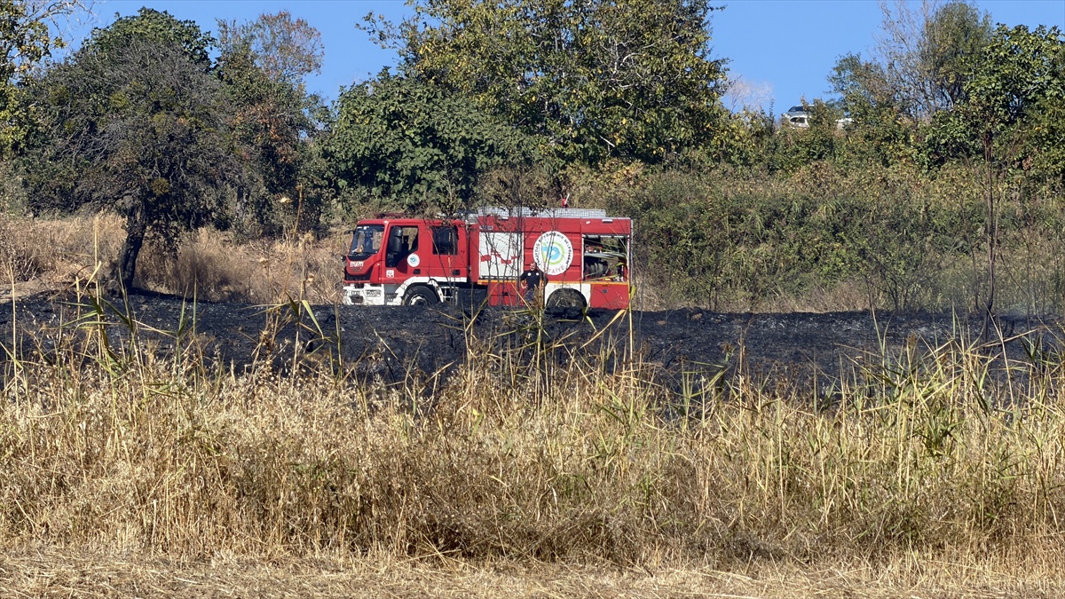 Tekirdağ Süleymanpaşa'da otluk yangını söndüren ekipler kaplumbağayı da kurtardı