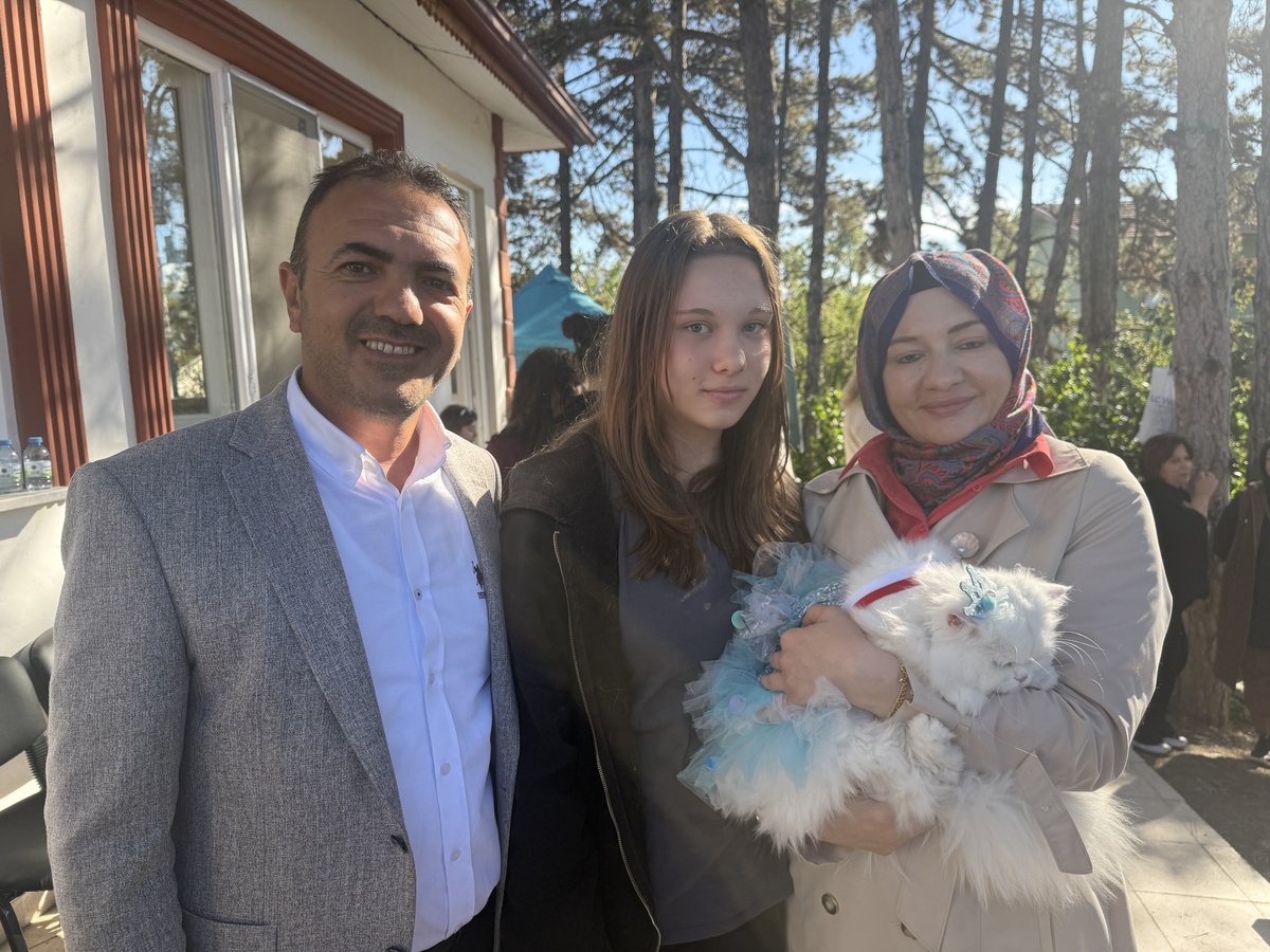 Tokat'ta 3'üncüsü düzenlenen kedi güzellik yarışmasında Pamuk ve Duman birinci oldu