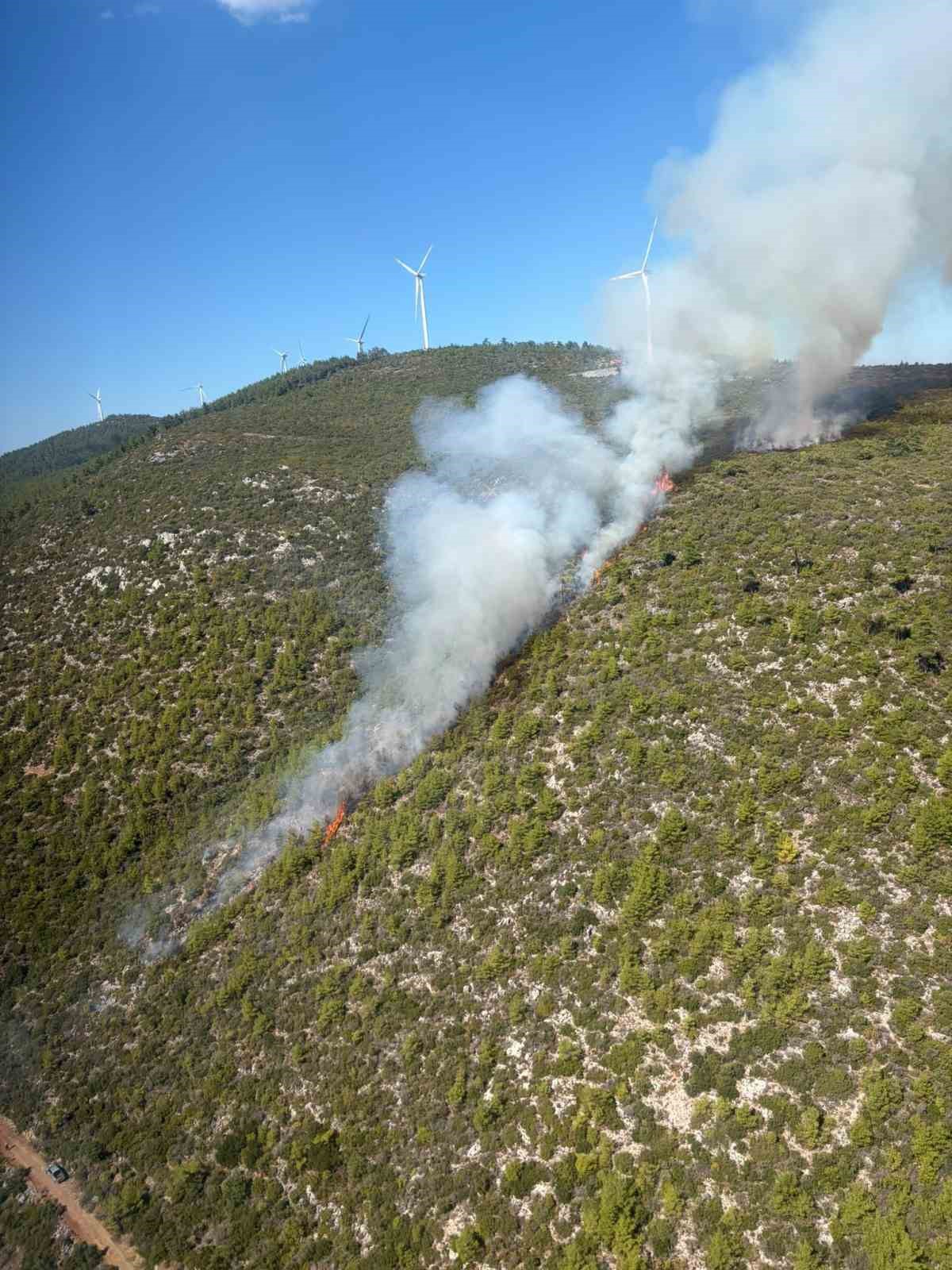 Bodrum Mazı'da orman yangınına 6 helikopter ve 2 uçak havadan müdahale ediyor