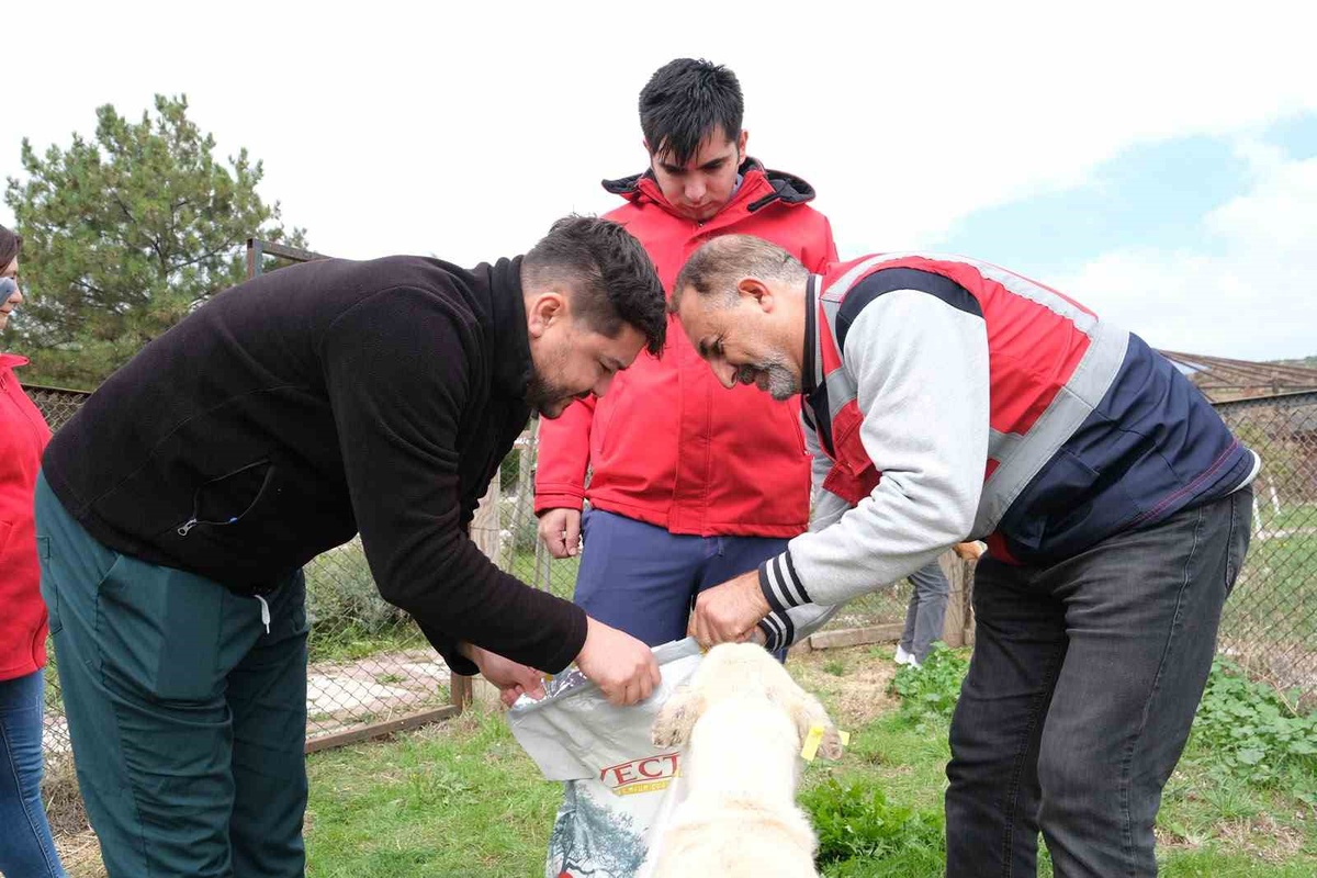 Kütahya Vakıflar Bölge Müdürlüğü sahipsiz hayvanlara mama desteği verdi
