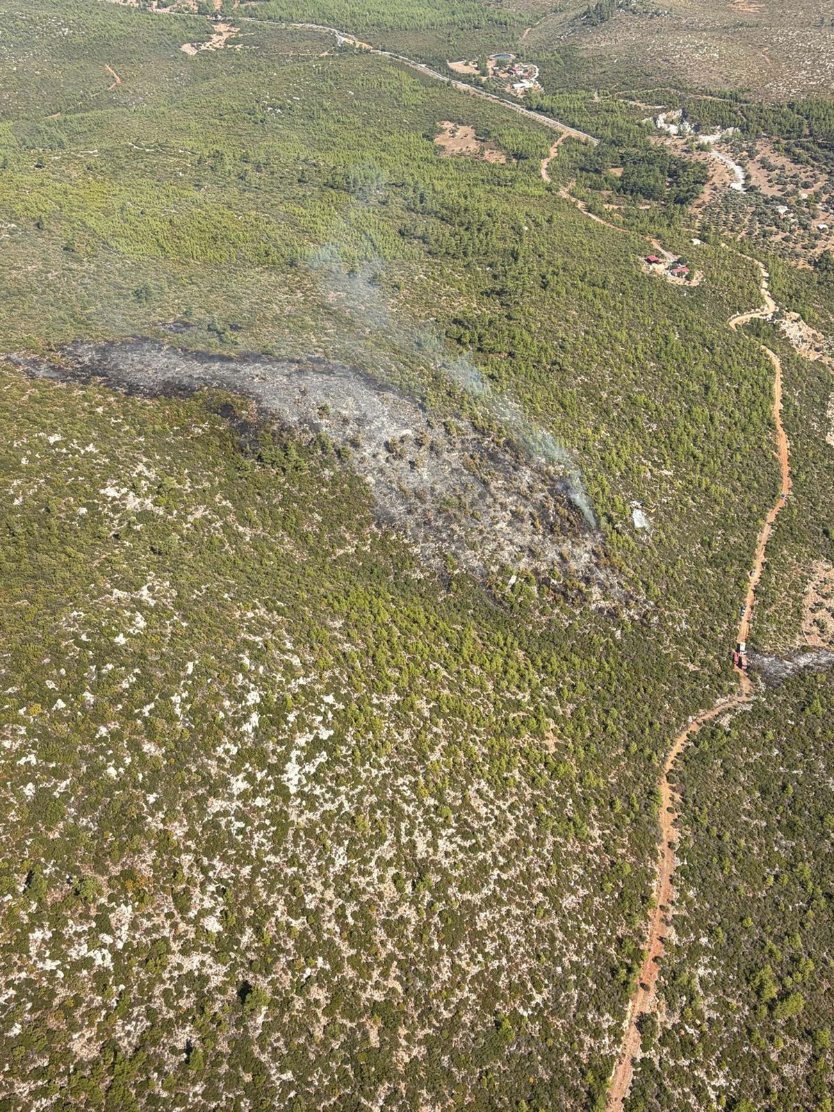 Muğla Bodrum'da orman yangını yaklaşık 2,5 saatlik müdahaleyle kontrol altına alındı