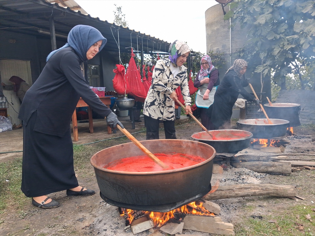 Sakarya Karapürçek'teki kadın kooperatifi yöresel ürünleri yurt dışına gönderiyor