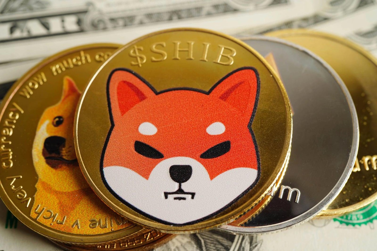 Shiba Inu Solana'ya açıldı