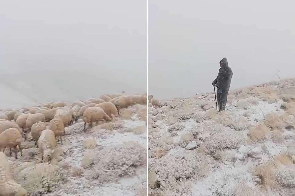 Mevsimler de şaşırdı: Tunceli'de yaylaya mevsimin ilk karı düştü