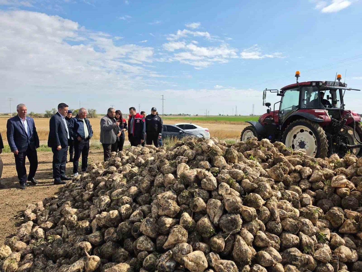 Aksaray Sultanhanı'nda şeker pancarı hasadı başladı, Kaymakam Yerlikaya bilgi aldı