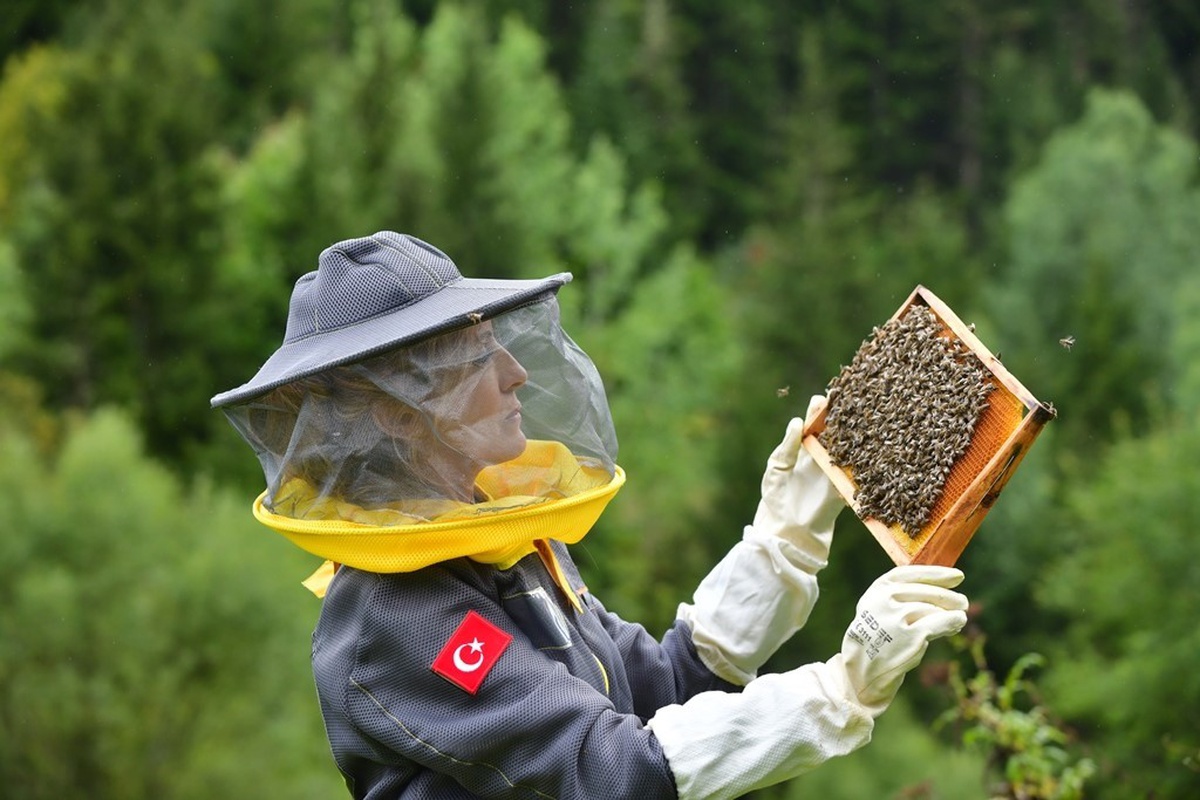 Artvin'de apiturizm projesi kapsamında Şavşat Maden köyünde saha incelemesi yapıldı