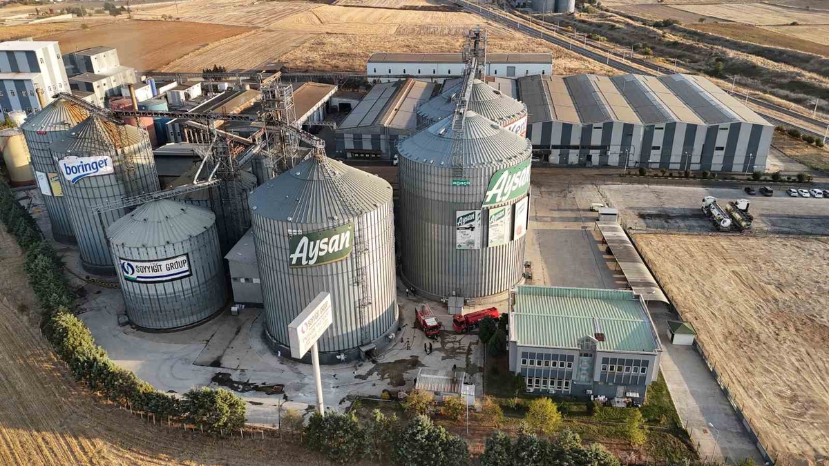 Edirne-Havsa yolundaki yağ fabrikasında ayçiçeği silosunda yangın çıktı