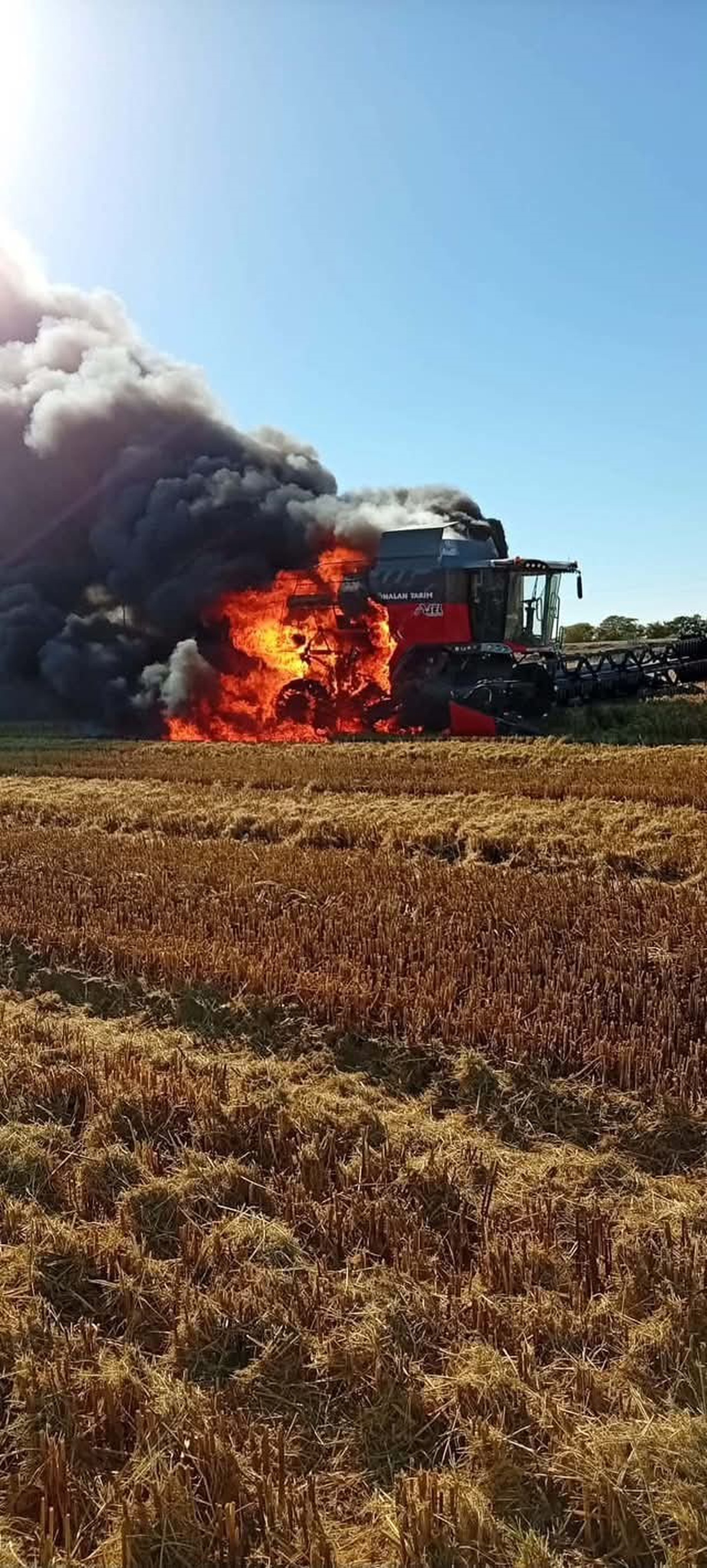Edirne İpsala'da Önalan Tarım İpsala işletmesine ait biçerdöver çalışırken yandı