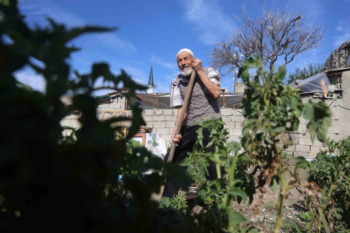 Hatay'da 90 yaşındaki depremzede enkazı bahçeye çevirip ürünleri hayrına dağıtıyor