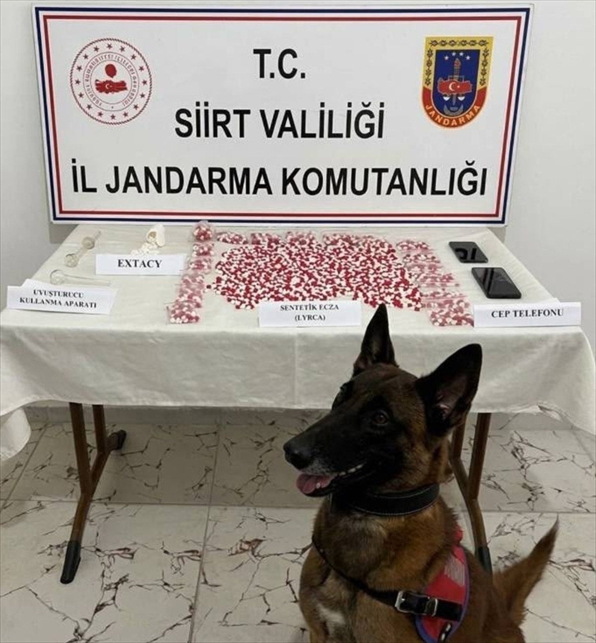 Siirt'te jandarma, otobüste 2 bin 650 uyuşturucu hap ele geçirdi, 1 şüpheli yakalandı