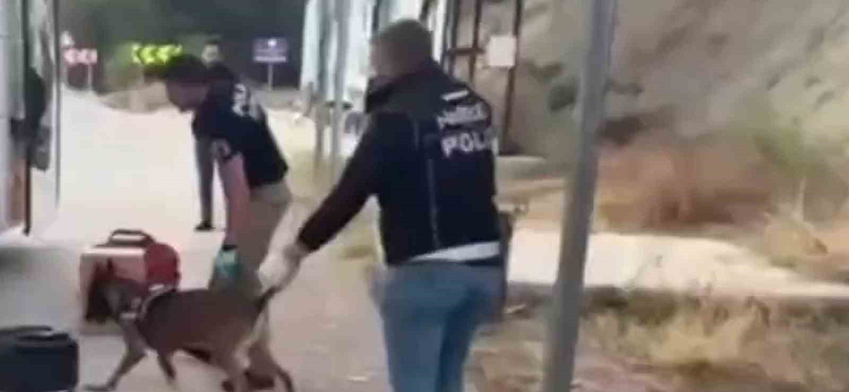 Sinop Boyabat'ta uyuşturucu operasyonunda 3 şüpheli tutuklandı