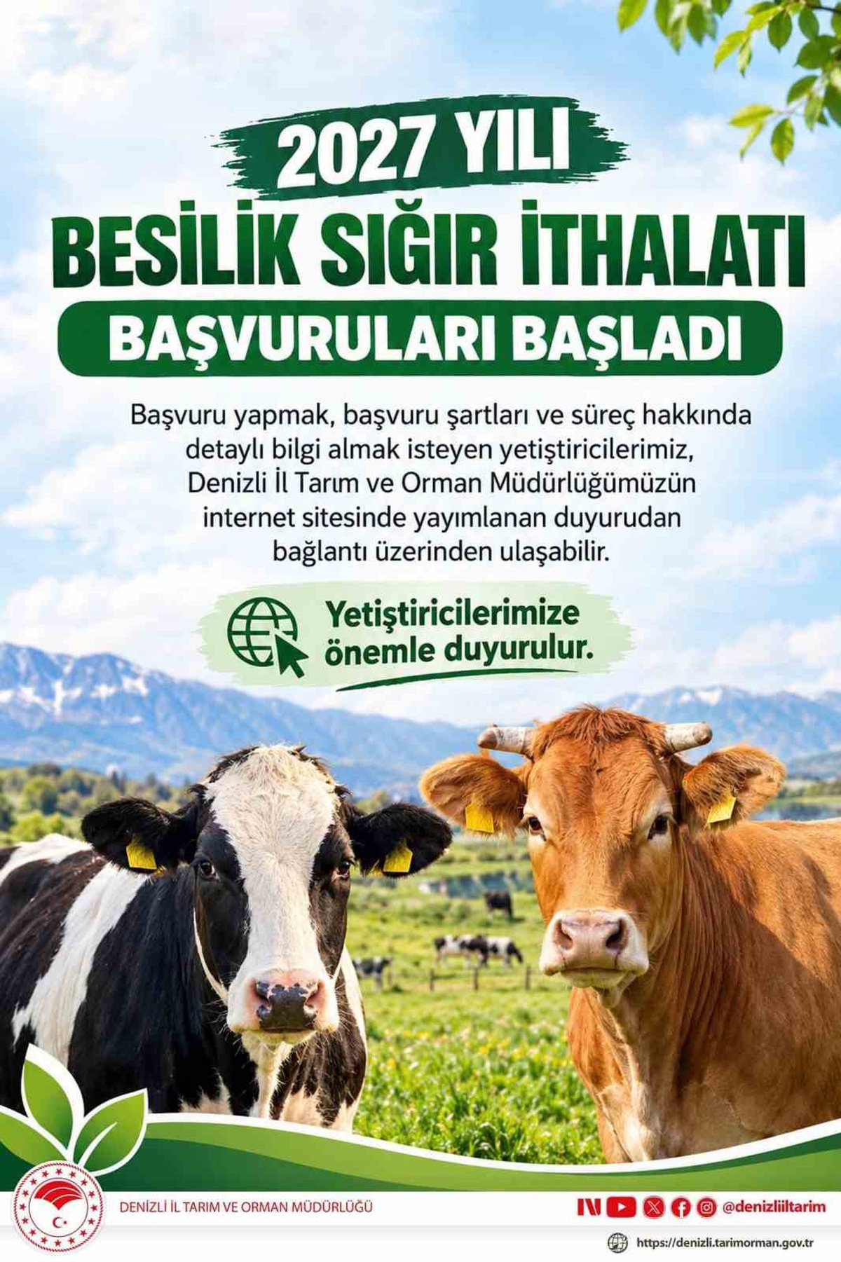 Tarım ve Orman Bakanlığı 480 bin baş besilik sığır ithalatı başvurularını başlattı