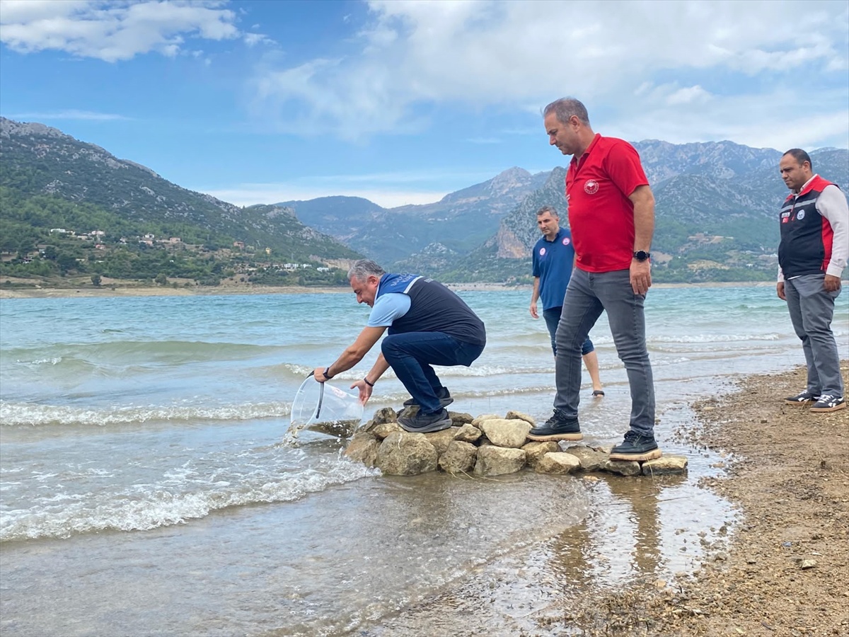 Tarım ve Orman Bakanlığı Kozan'da 7 göl ve gölete 665 bin sazan yavrusu bıraktı