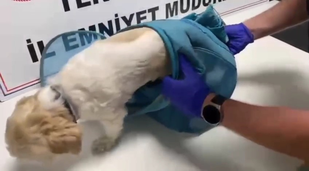 Tekirdağ'da son 2 haftada 207 şüpheliye adli işlem yapıldı, 18 tutuklandı