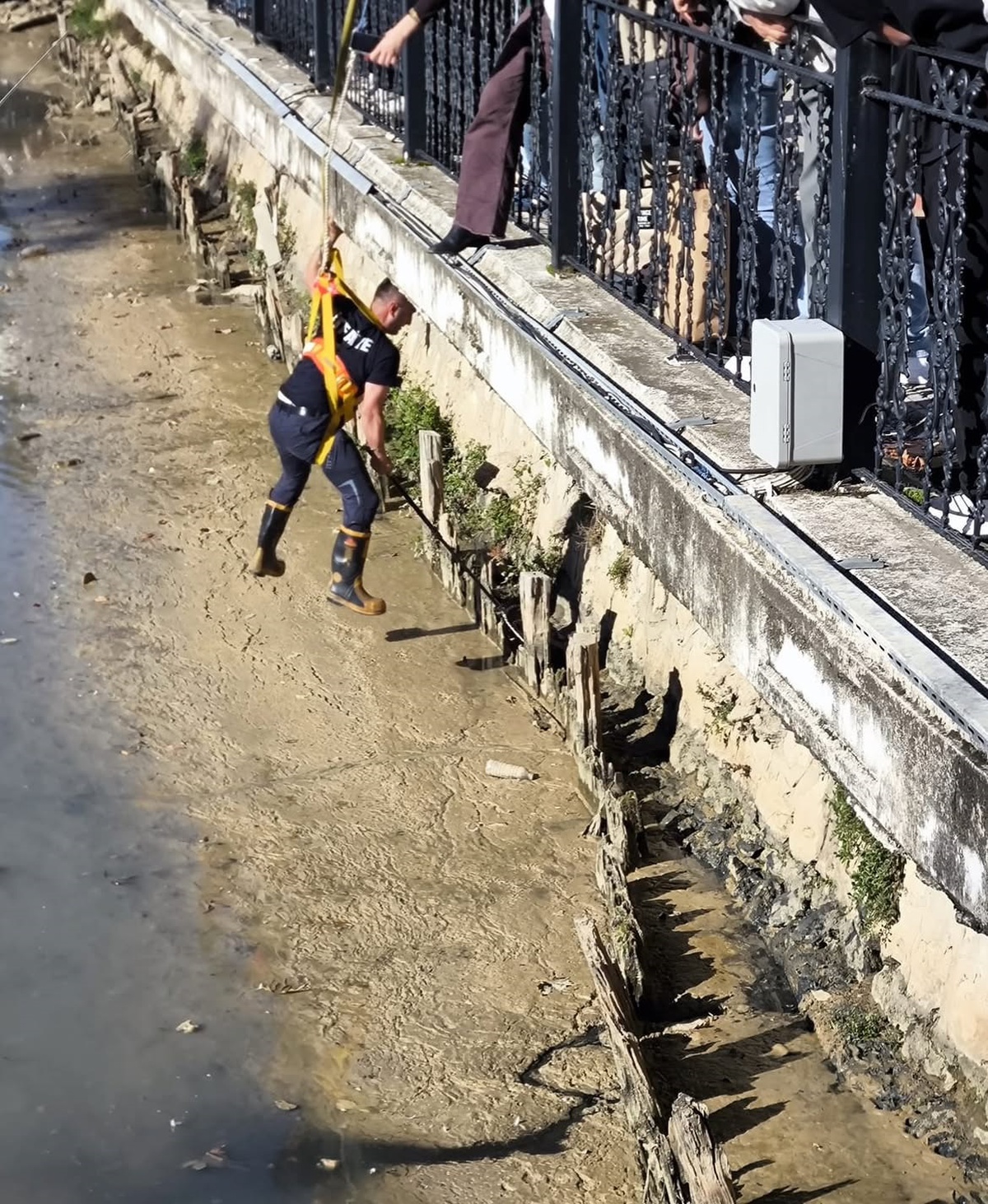 Yalova'da balçıkla kaplı dere yatağında mahsur kalan 2 kedi itfaiyece kurtarıldı