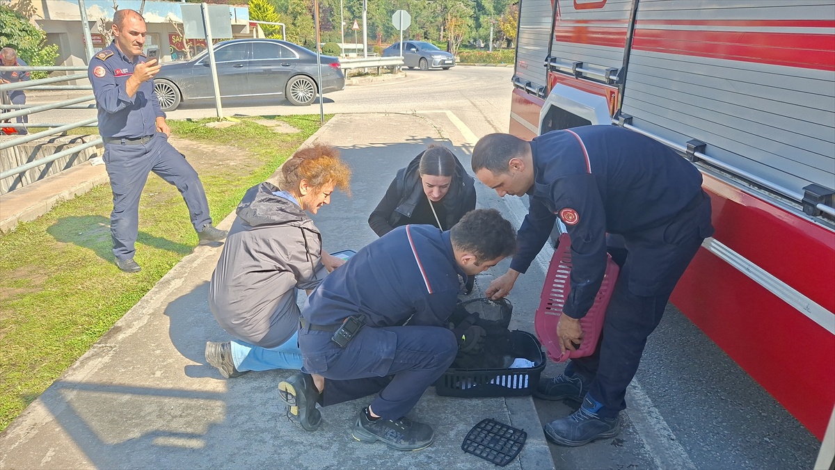 Bafra'da üst geçit duvarına sıkışan kedi yavrusu, itfaiye duvarı delerek kurtarıldı