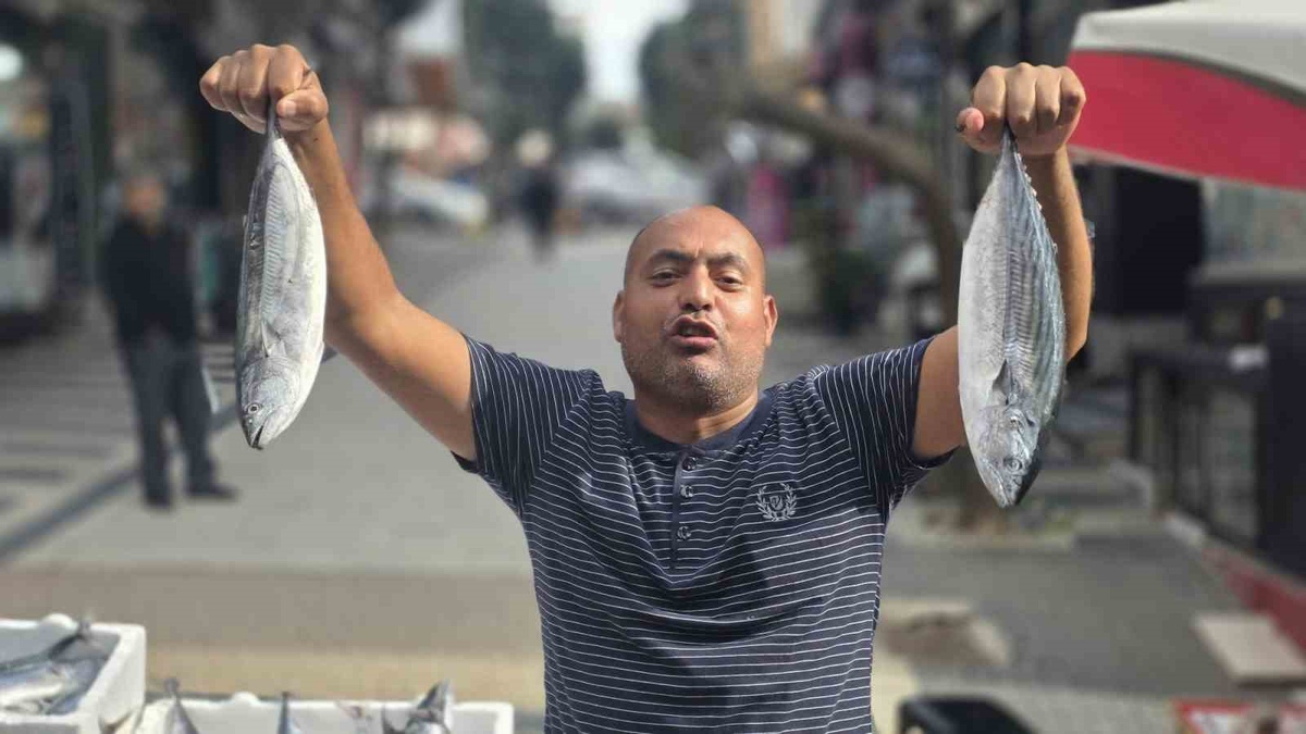 Bandırma'da palamut 100 liradan 75 liraya geriledi, palamuta ilgi arttı
