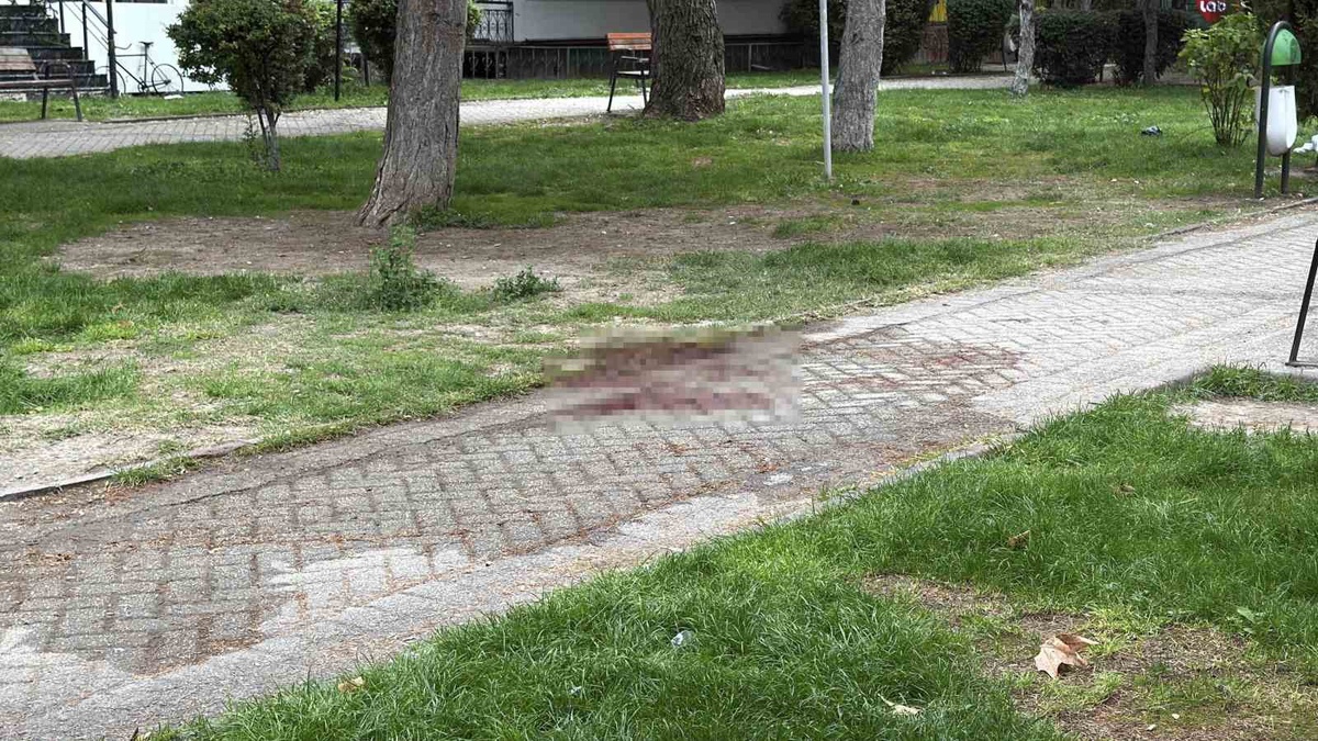 Eskişehir'de bıçaklı kavgada bir kişi ağır yaralandı, şüpheli yakalandı