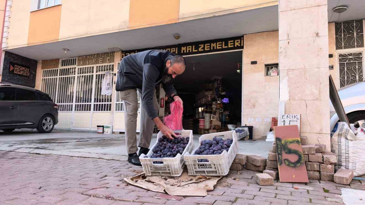 İnegöl'de 10 ton eriği satamayan Özgür Şimşek, bir kısmını ücretsiz dağıttı