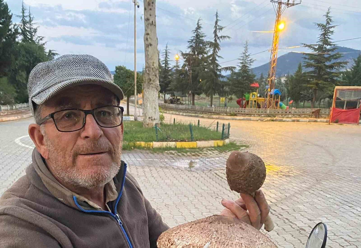 Konya Beyşehir'de arazide büyük külah mantarı bulan vatandaş şaşkınlık yaşadı