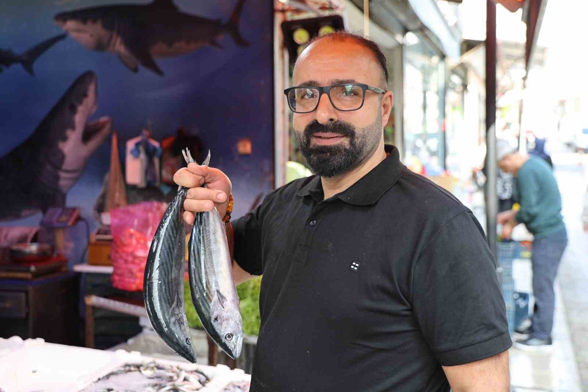Türkiye'de sadece Elazığ'da kiloyla satılan palamut 250 liradan alıcı buluyor