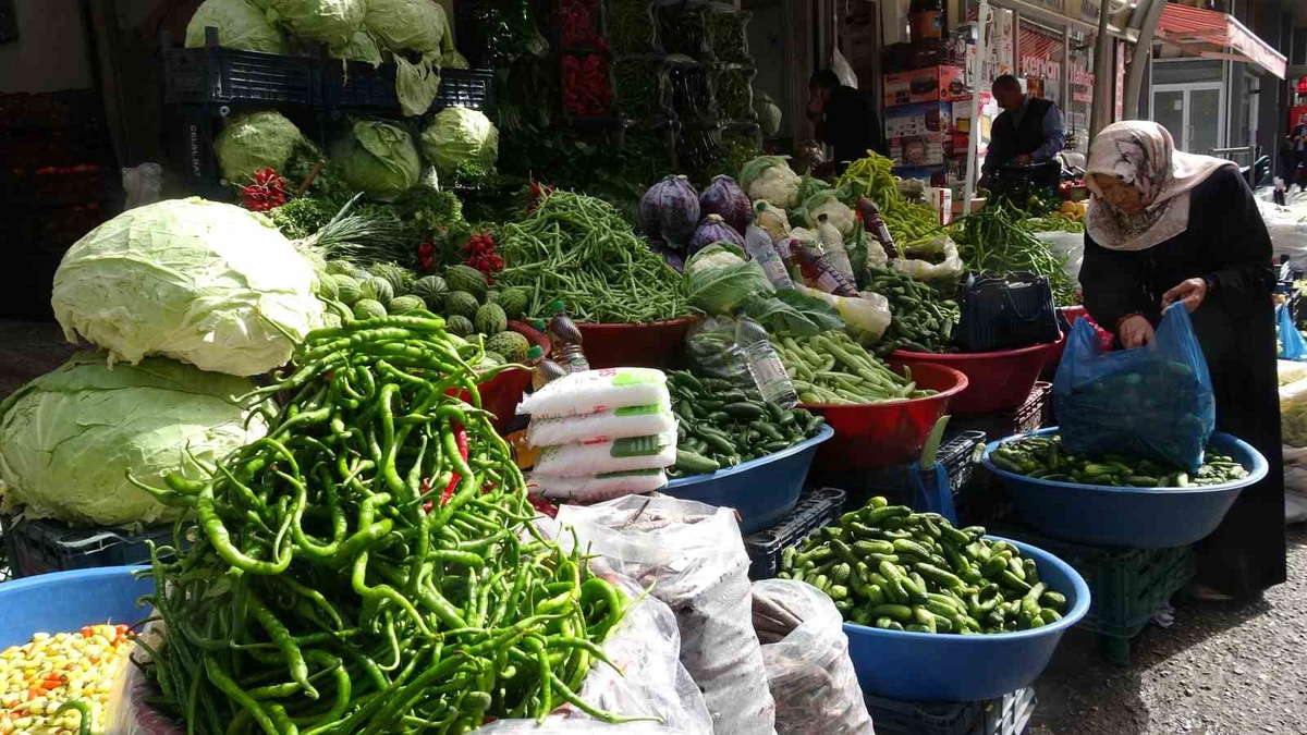 Van'da kışlık turşu mesaisi başladı, kornişonun 3 kilosu ortalama 100 lira