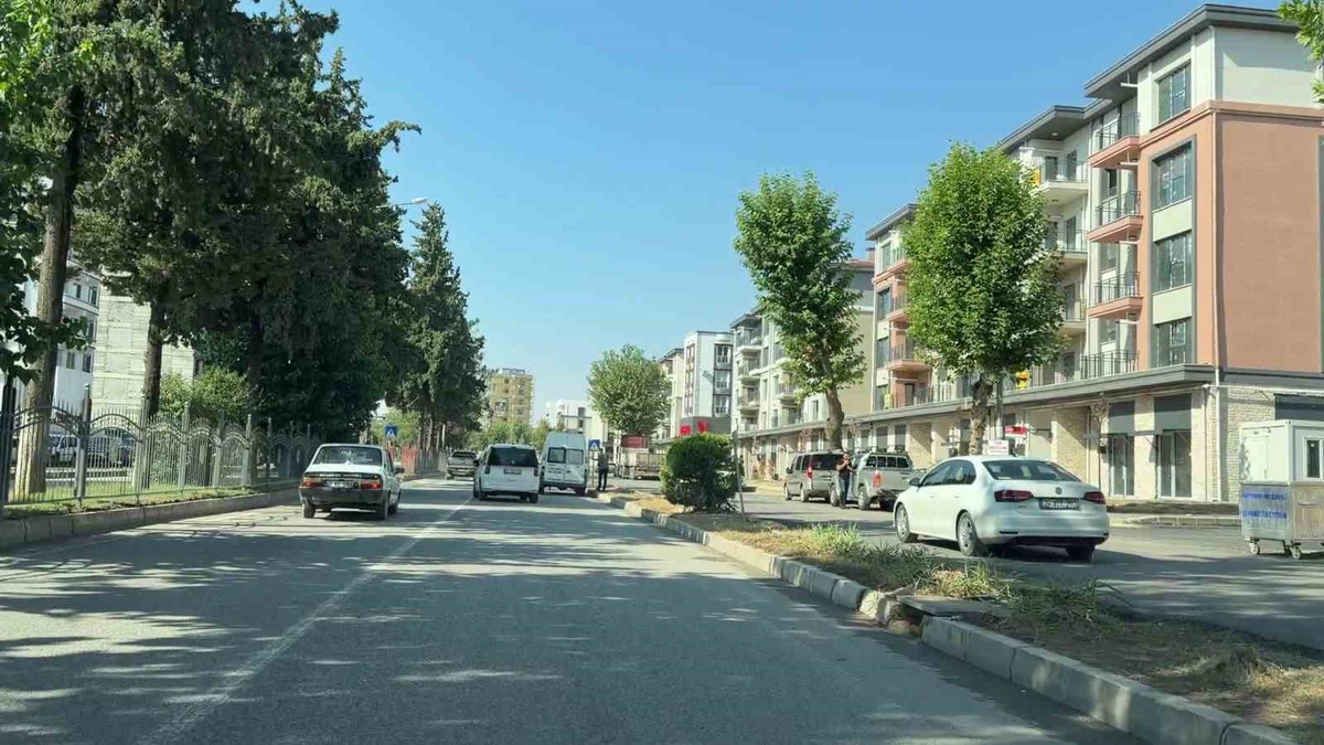 Adıyaman'da 3 yıl sonra araç kamerası enkazın yerine yeni yaşamı görüntüledi