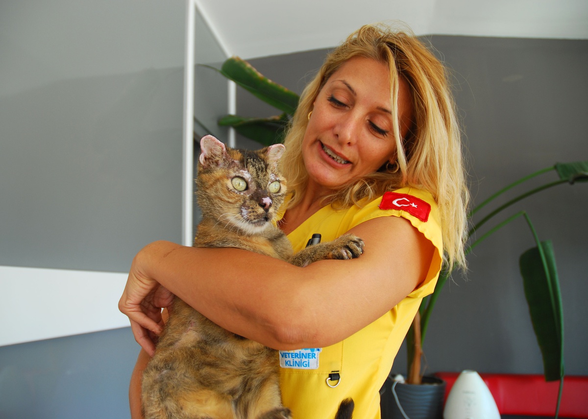 Antalya Kumluca'da yangında yanan kedi Luna, 2 aydan fazla tedaviyle sahibine kavuştu