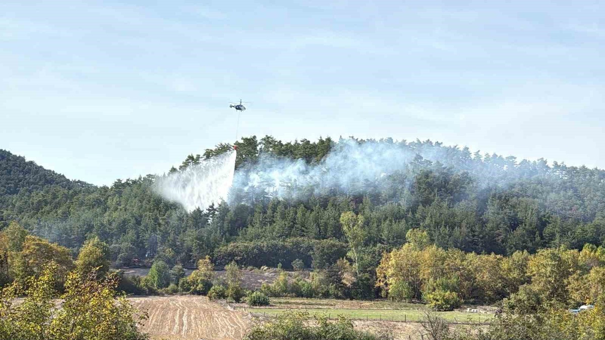 Çanakkale Çan'da tarımdan ormana sıçrayan yangında 10 dönüm tarım arazisi zarar gördü