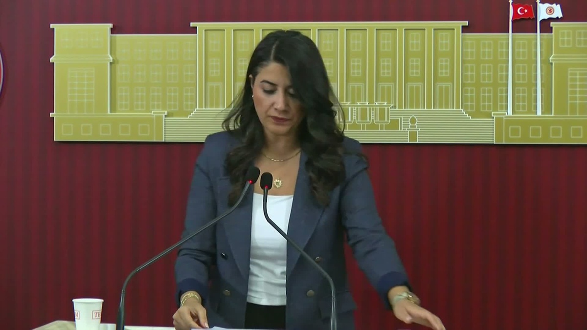 DEM Partili Ayan, 2025'te ortalama yoksulluk nafakasının 1179 lira olduğunu savundu