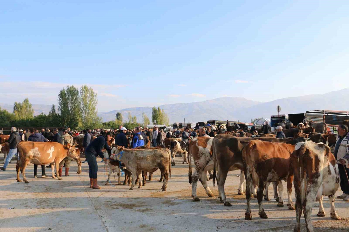 Erzincan İl Tarım ve Orman Müdürü Koçaker, üreticileri şap aşılaması konusunda uyardı