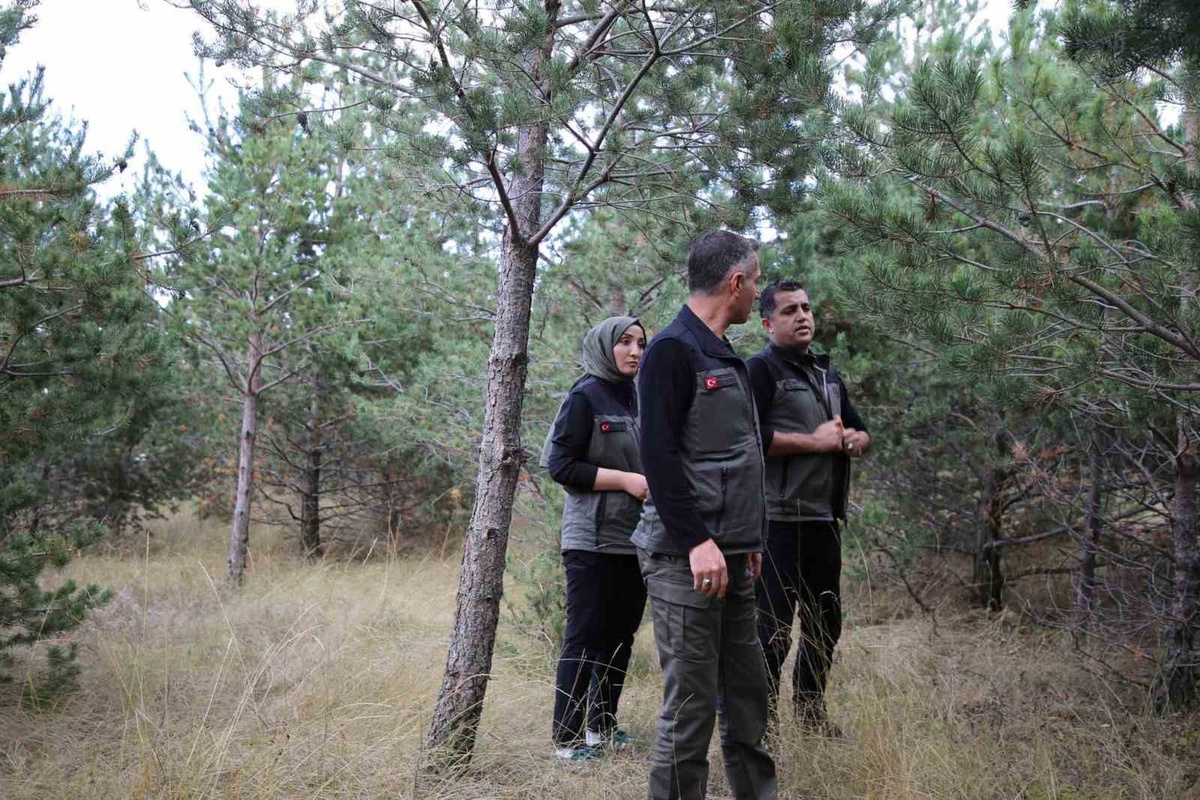 Erzurum Orman Bölge Müdürü, Kars’ta Millet Ormanı için incelemelerde bulundu