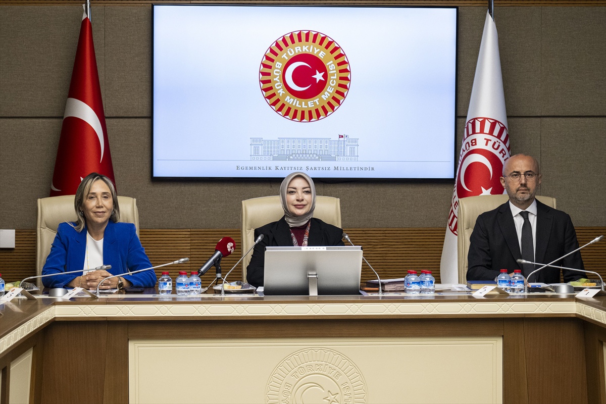 Gamze Taşcıer KEFEK Başkanvekili seçildi, nafaka çalışması gündemde