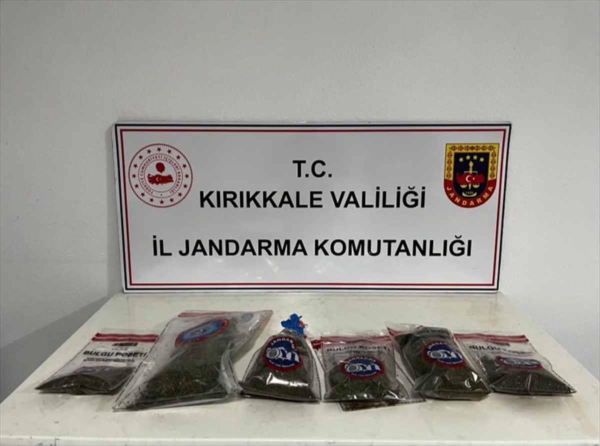 Kırıkkale'de 14 kök kenevir ele geçirilen operasyonda şüpheli gözaltına alındı