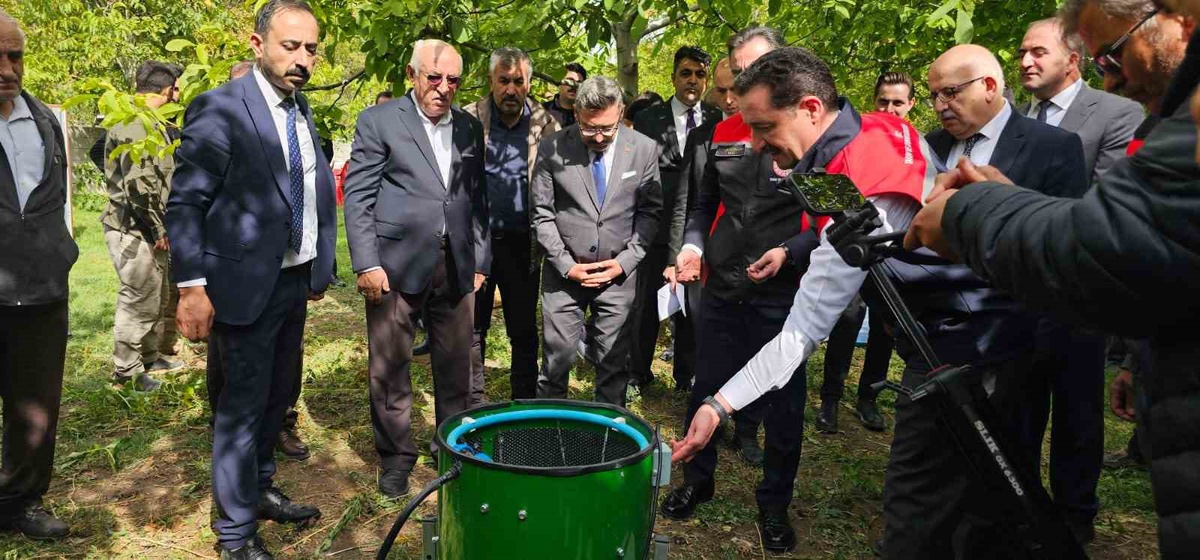 Adilcevaz'ın tescilli cevizinde hasat Vali Karakaya'nın katılımıyla başladı