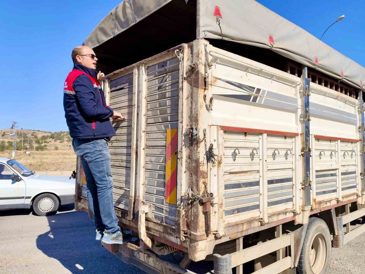 Dazkırı'da canlı hayvan nakli araçları bulaşıcı hayvan hastalığına karşı denetlendi