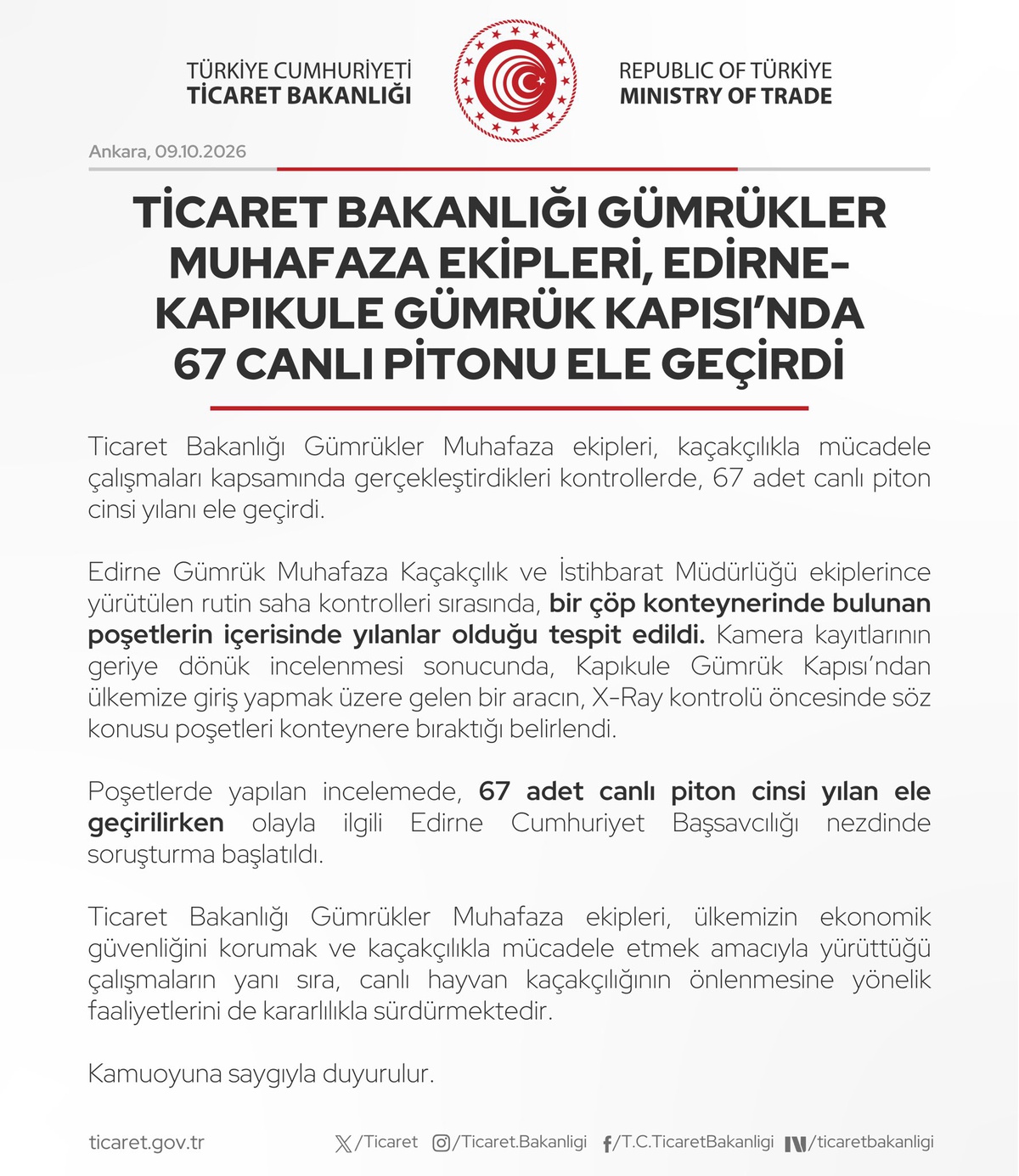 Edirne'de çöp konteynerine bırakılan poşetlerden 67 canlı piton çıktı