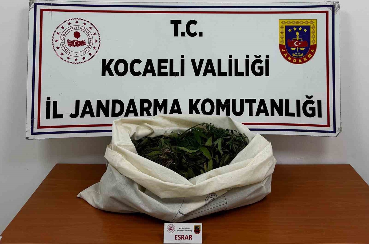 Kocaeli'de 4 ilçede uyuşturucu operasyonunda 7 şüpheli hakkında adli işlem başlatıldı