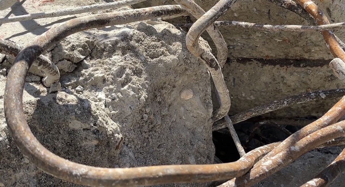 Maltepe'de 5 kişinin öldüğü binanın enkazından alınan betonda deniz kabuğu görüldü