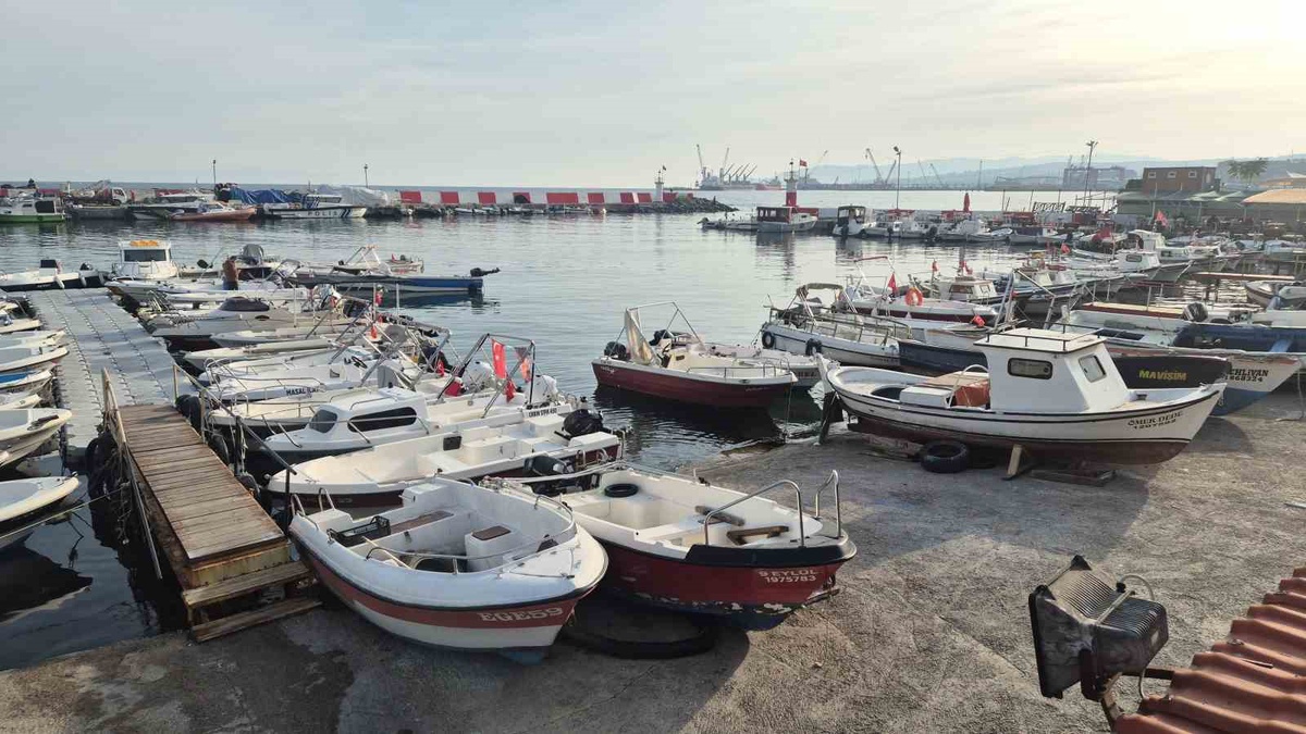 Tekirdağ'da fırtına dinince balıkçılar denize açıldı, palamutta bolluk var