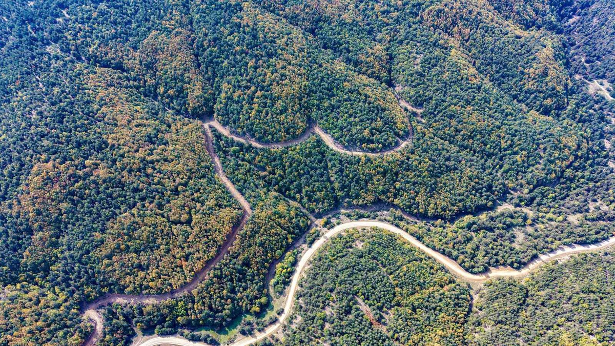 Tokat'taki Topçam Yaylası sonbaharda yeşil ve sarının tonlarına büründü