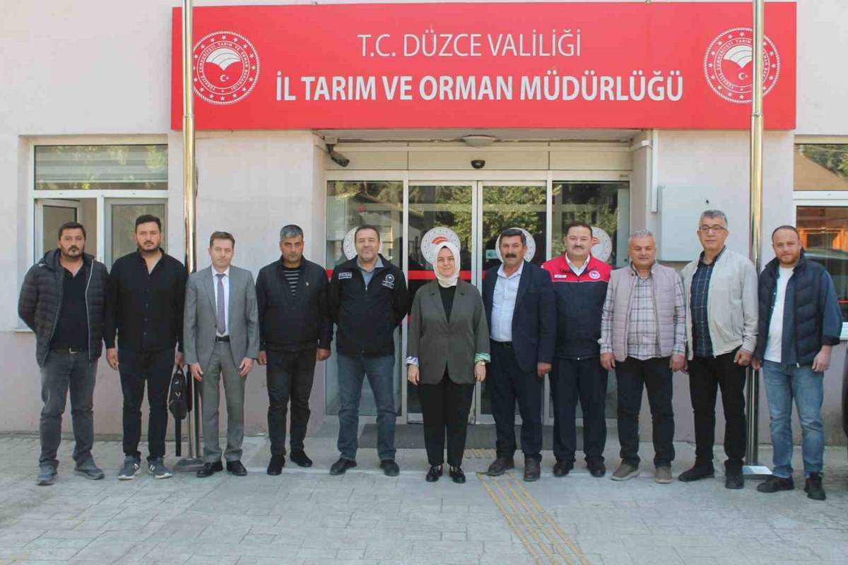 Anadolu mandası ıslah projesinin 2026 değerlendirme toplantıları Düzce'de yapıldı