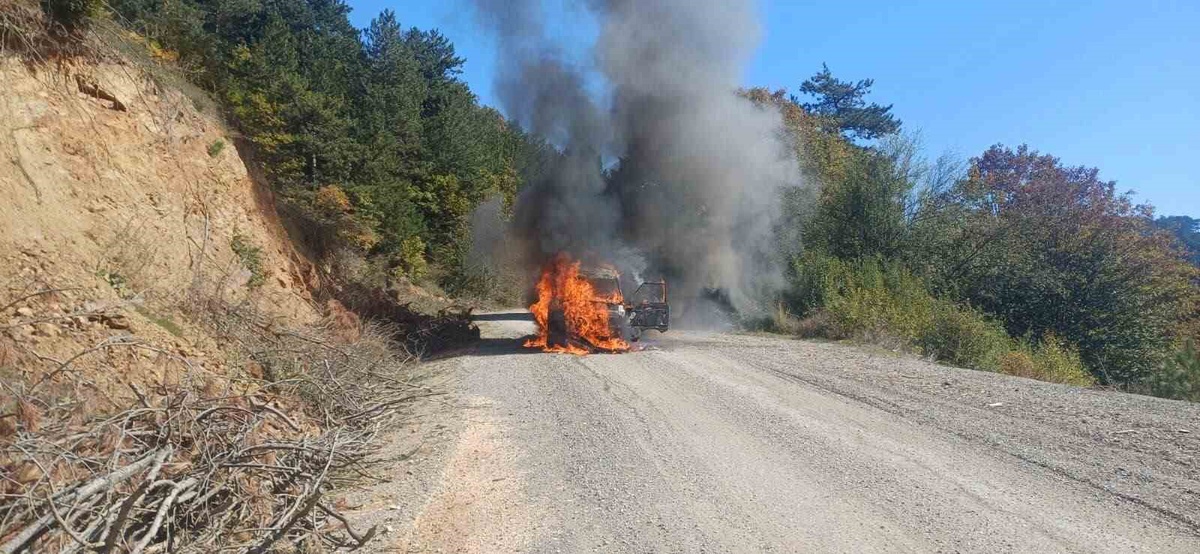 Bilecik Bozüyük'te seyir halindeki otomobil alev aldı; yangında yaralanan olmadı