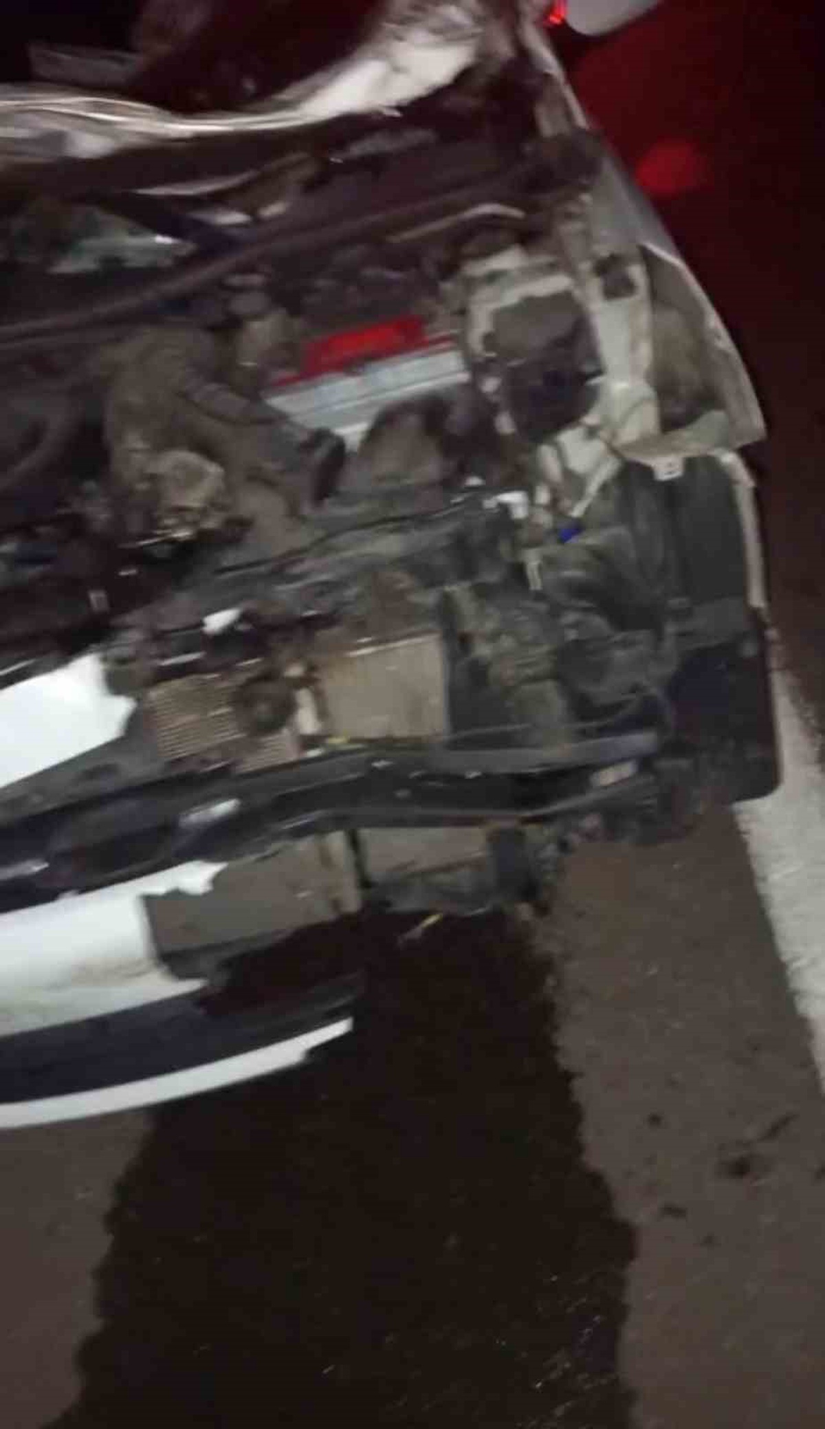 Bingöl’de otomobil yola çıkan ineğe çarptı, biri bebek 2’si ağır 4 kişi yaralandı