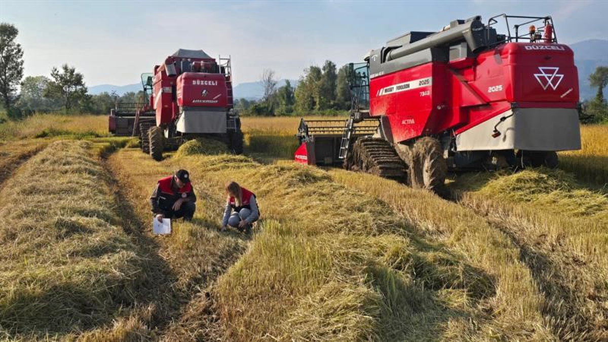 Düzce'de üreticilere anız yakmama uyarısı yapıldı, biçerdöver denetimleri sürüyor
