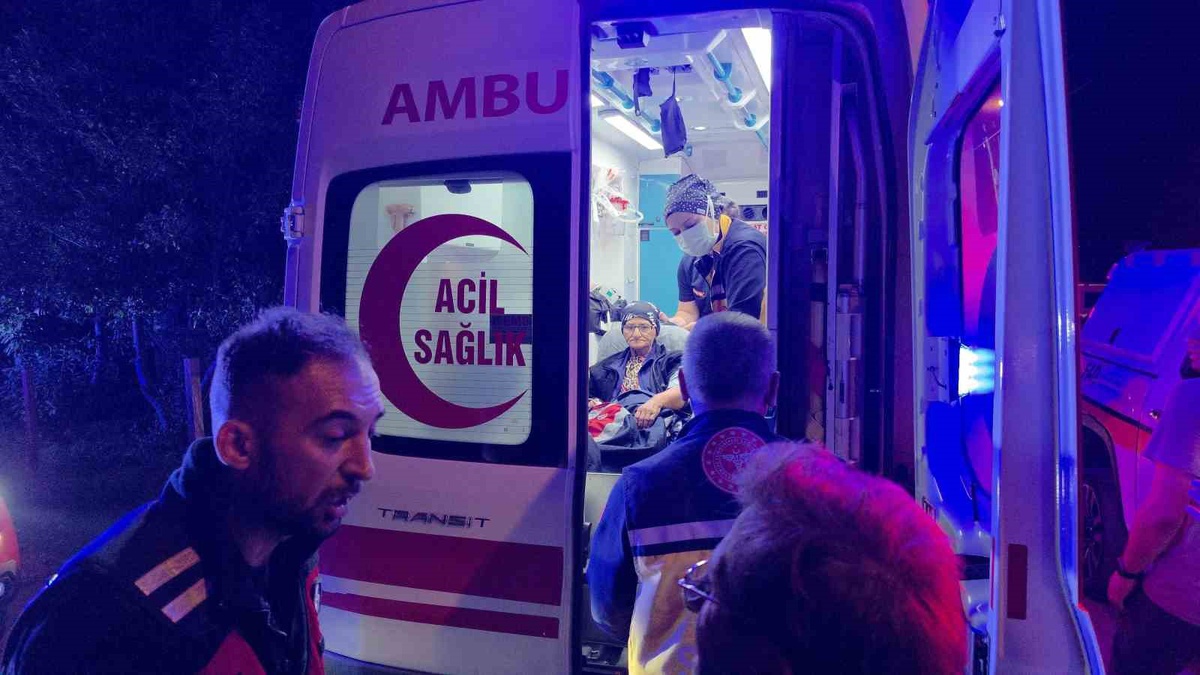 Sakarya Akyazı'da 2 gündür aranan alzaymır hastası kadın sağ bulundu