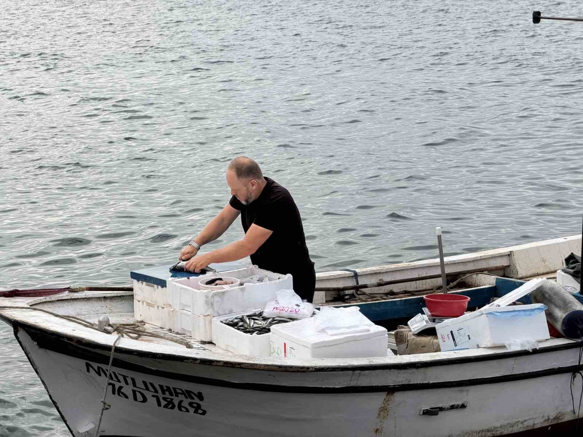 Yalova Armutlu'da kayıkla taze balık servisi tatilcileri sevindirdi