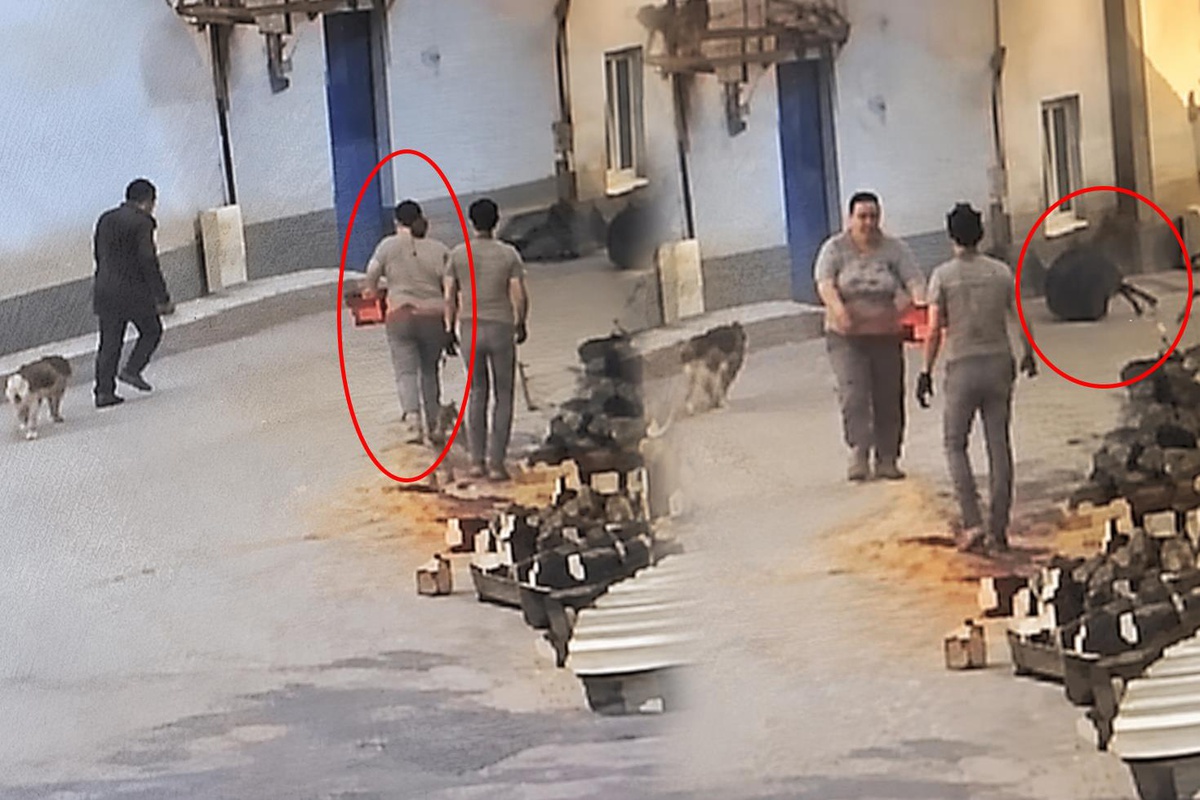 Motorlu testereyle üzerine koştu, 76 yaşındaki adam kabusu yaşadı