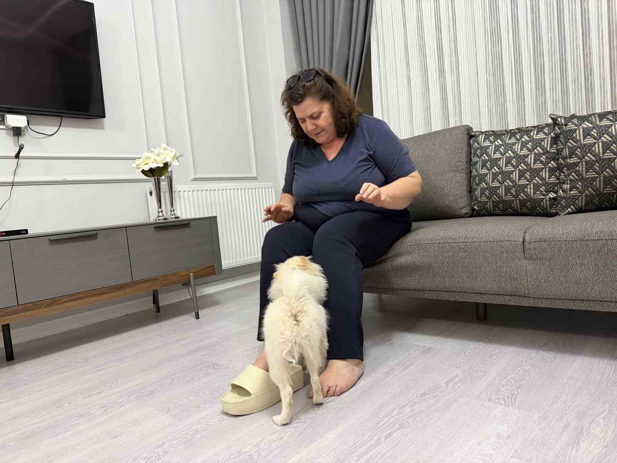 Mardinli aile, Pomeranian panda suratlı köpeğin vaat edilenden farklı çıktığını öne sürdü
